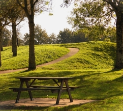 FRP Benches